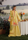 MEHRAAB-E-GUL ZQ001