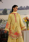 MEHRAAB-E-GUL ZQ001