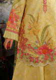 MEHRAAB-E-GUL ZQ001