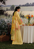MEHRAAB-E-GUL ZQ001